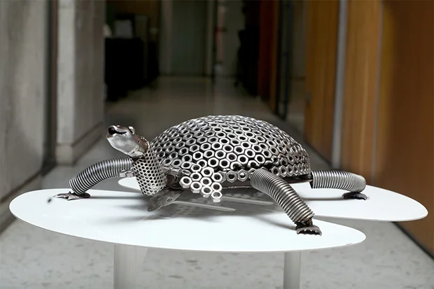 Armadillo built from steel rings and tube