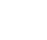 Vector